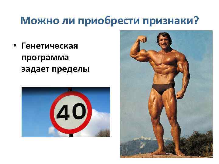 Можно ли приобрести признаки? • Генетическая программа задает пределы 