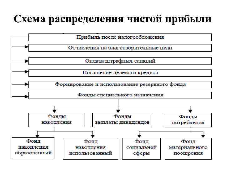 Схема распределения чистой прибыли 