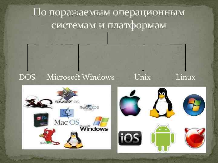 По поражаемым операционным системам и платформам DOS Microsoft Windows Unix Linux 