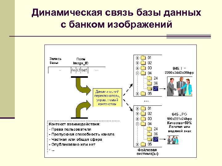 Динамическая связь базы данных с банком изображений 