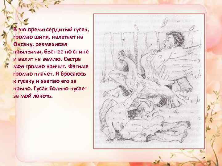 В это время сердитый гусак, громко шипя, налетает на Оксану, размахивая крыльями, бьет ее