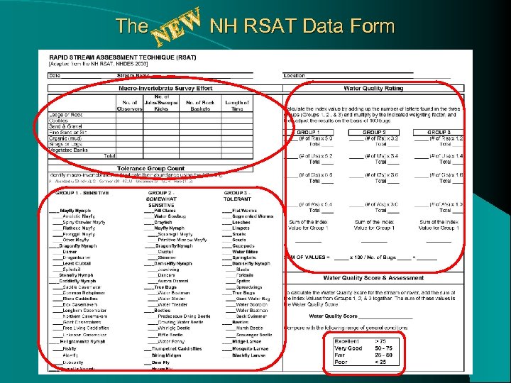 The EW NH RSAT Data Form N 