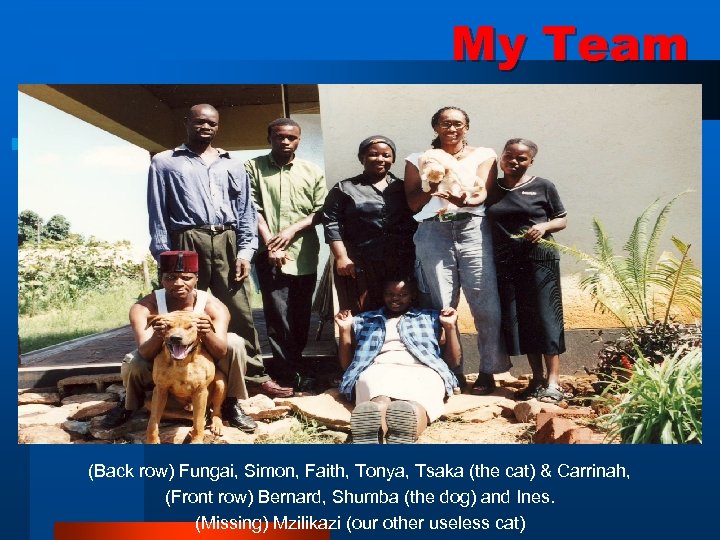 My Team (Back row) Fungai, Simon, Faith, Tonya, Tsaka (the cat) & Carrinah, (Front