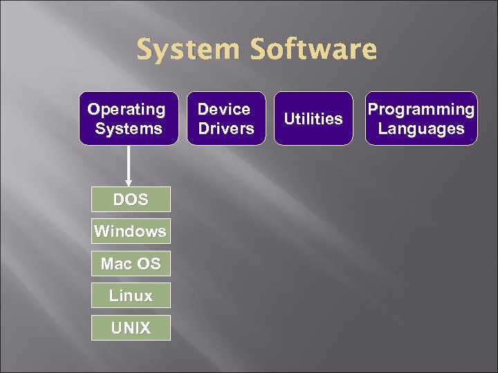 System Software Operating Systems DOS Windows Mac OS Linux UNIX Device Drivers Utilities Programming