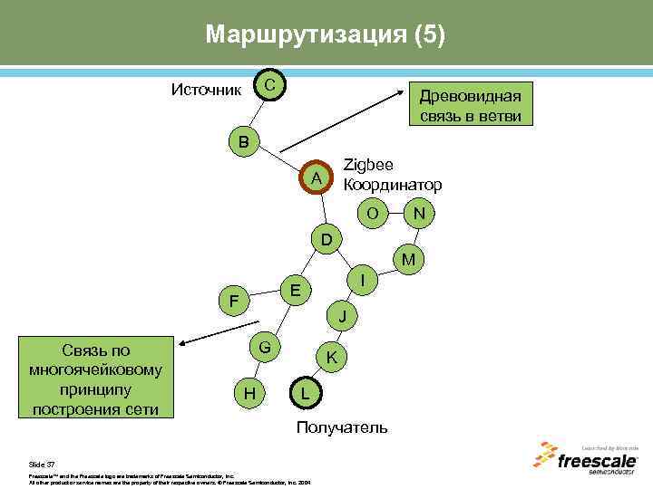 Маршрутизация (5) C Источник Древовидная связь в ветви B Zigbee Координатор A O N