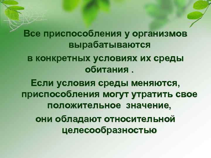 Все приспособления у организмов вырабатываются в конкретных условиях их среды обитания. Если условия среды