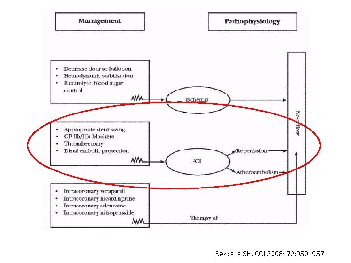 Rezkalla SH, CCI 2008; 72: 950– 957 