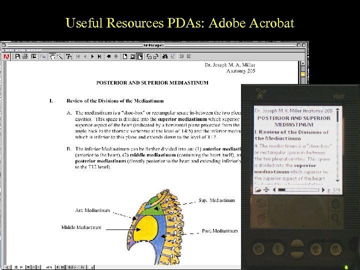Useful Resources PDAs: Adobe Acrobat 