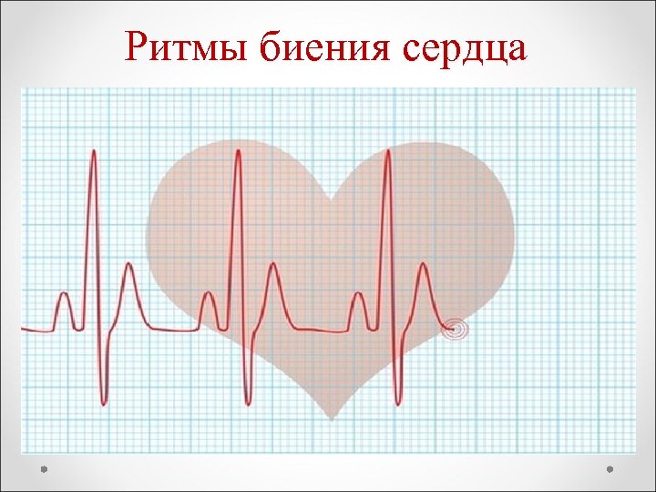 Ритмы биения сердца 