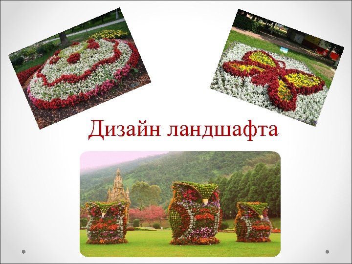 Дизайн ландшафта 