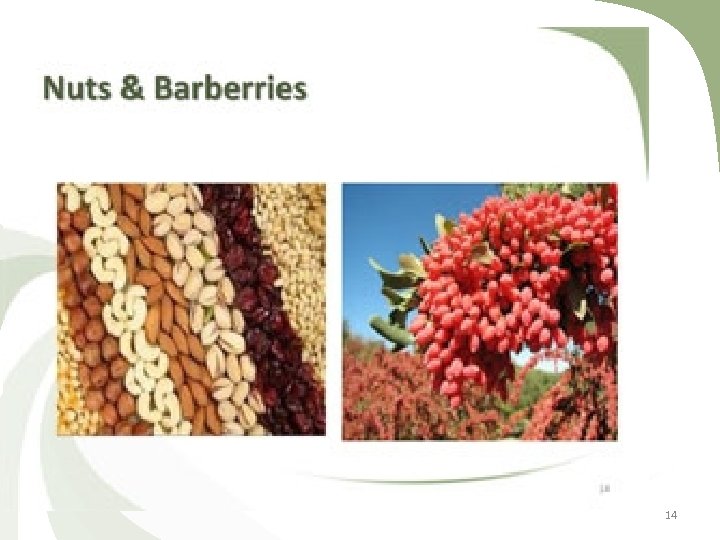 Nuts & Barberries 14 