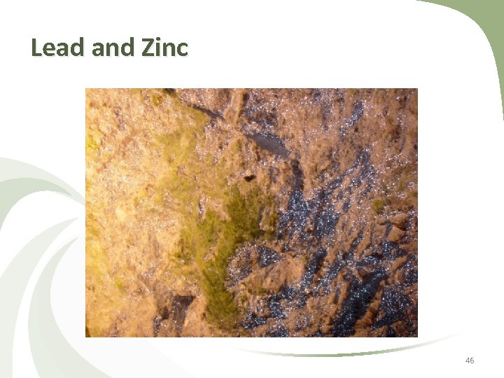 Lead and Zinc 46 