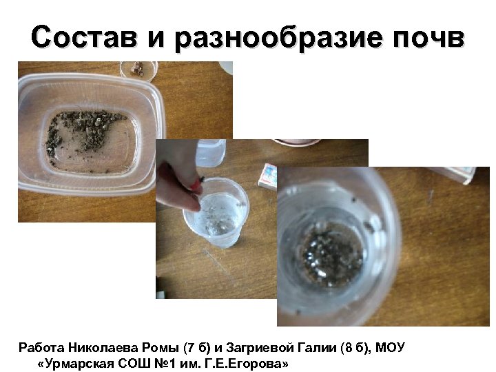 Состав и разнообразие почв Работа Николаева Ромы (7 б) и Загриевой Галии (8 б),