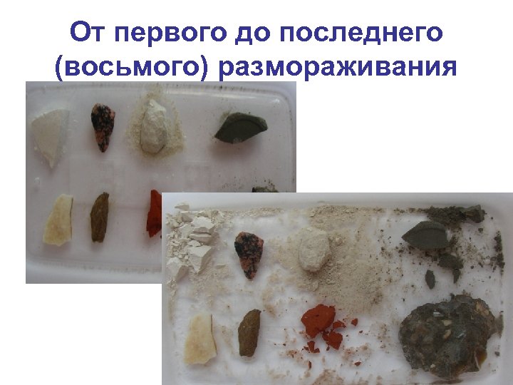 От первого до последнего (восьмого) размораживания 