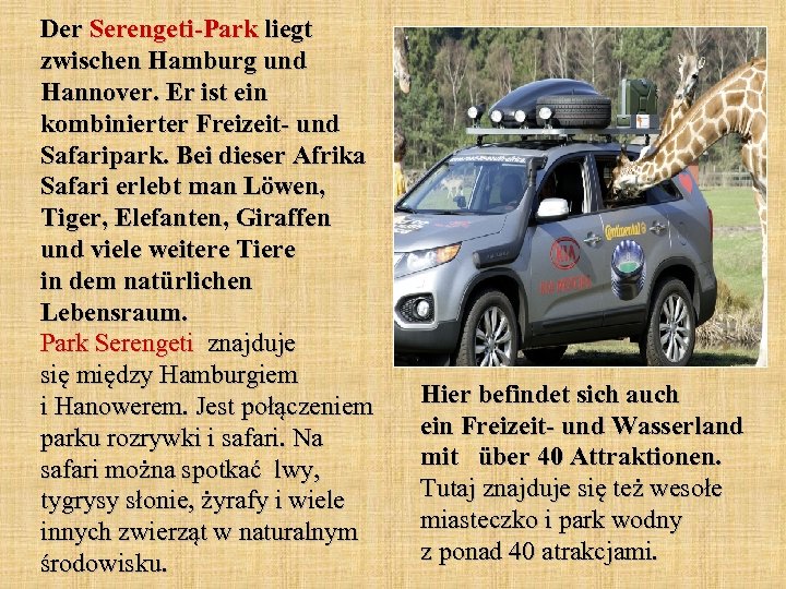 Der Serengeti-Park liegt zwischen Hamburg und Hannover. Er ist ein kombinierter Freizeit- und Safaripark.