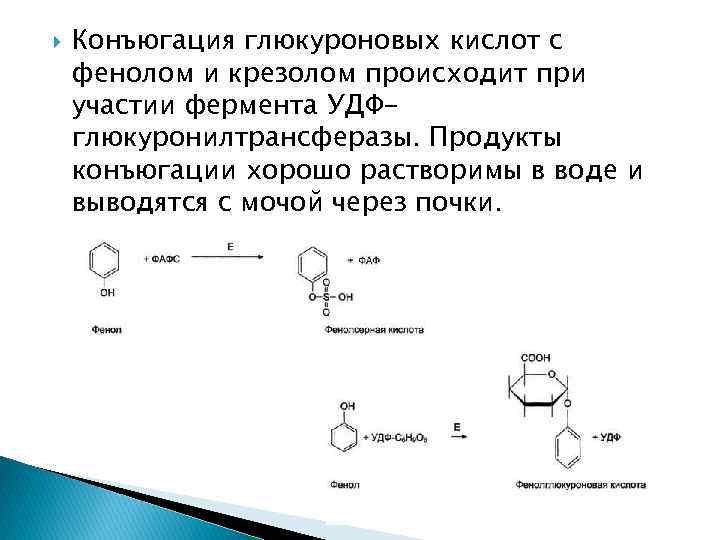  Конъюгация глюкуроновых кислот с фенолом и крезолом происходит при участии фермента УДФглюкуронилтрансферазы. Продукты