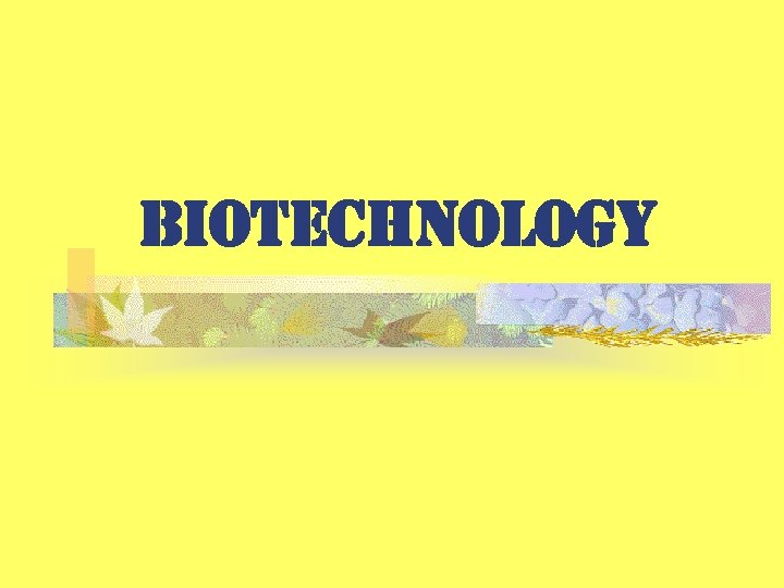 Biotechnology 