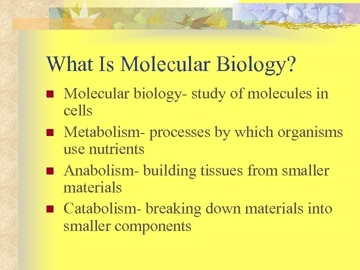 What Is Molecular Biology? n n Molecular biology- study of molecules in cells Metabolism-