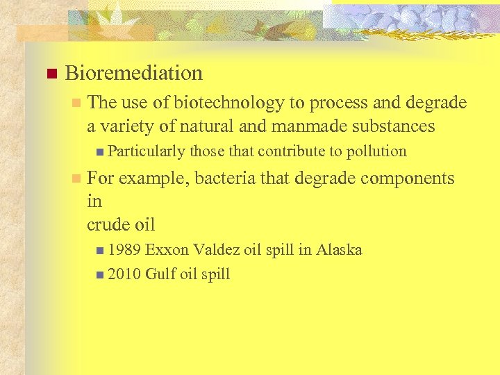 n Bioremediation n The use of biotechnology to process and degrade a variety of