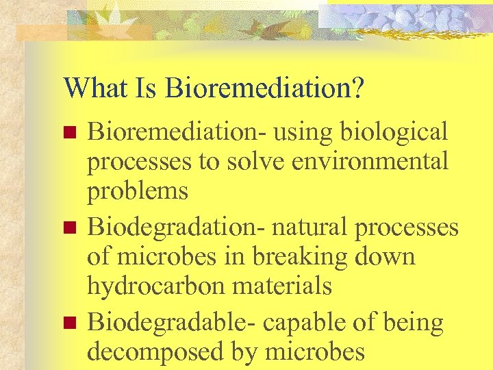 What Is Bioremediation? n n n Bioremediation- using biological processes to solve environmental problems