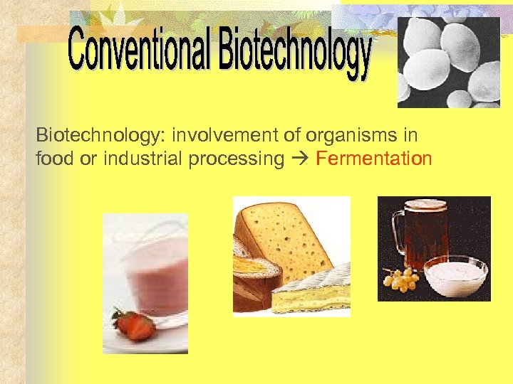 Biotechnology: involvement of organisms in food or industrial processing Fermentation 