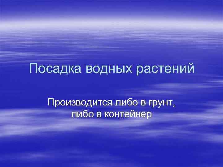 Посадка водных растений Производится либо в грунт, либо в контейнер 