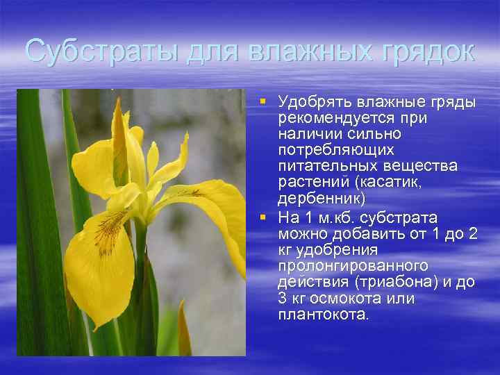 Субстраты для влажных грядок § Удобрять влажные гряды рекомендуется при наличии сильно потребляющих питательных