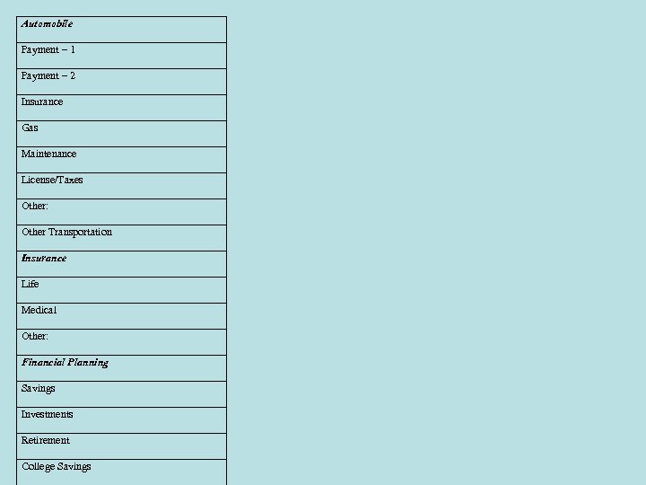 Automobile Payment – 1 Payment – 2 Insurance Gas Maintenance License/Taxes Other: Other Transportation