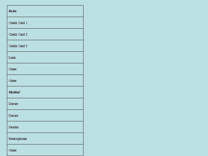 Debts Credit Card 1 Credit Card 2 Credit Card 3 Loan Other: Medical Doctor