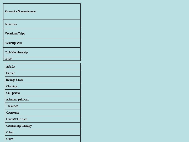 Recreation/Entertainment Activities Vacations/Trips Subscriptions Club Membership Other: Adults Barber Beauty Salon Clothing Cell phone