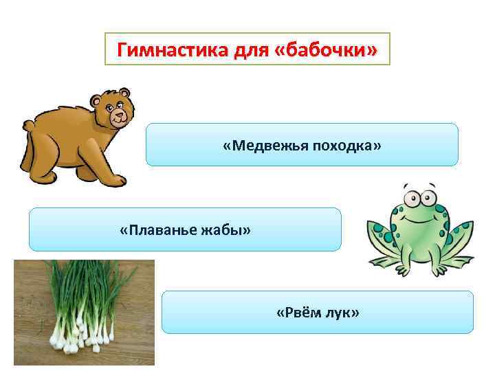Гимнастика для «бабочки» «Медвежья походка» «Плаванье жабы» «Рвём лук» 
