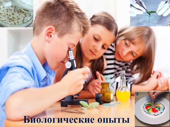 Биологические опыты 