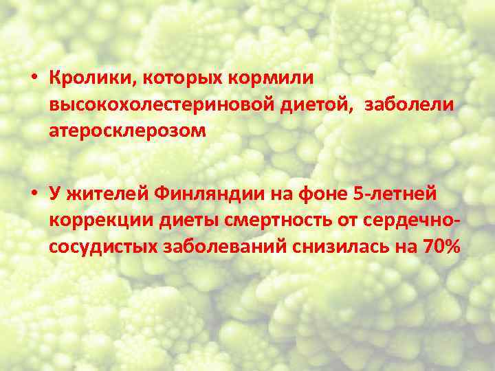  • Кролики, которых кормили высокохолестериновой диетой, заболели атеросклерозом • У жителей Финляндии на