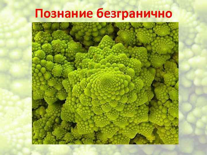 Познание безгранично 