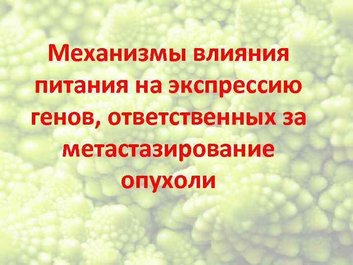 Механизмы влияния питания на экспрессию генов, ответственных за метастазирование опухоли 