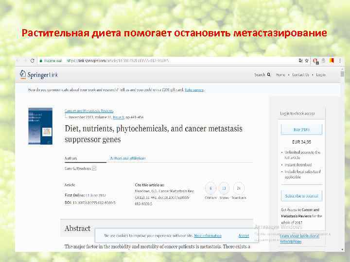 Растительная диета помогает остановить метастазирование 