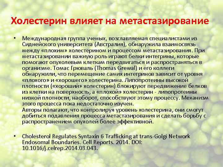 Холестерин влияет на метастазирование • Международная группа ученых, возглавляемая специалистами из Сиднейского университета (Австралия),