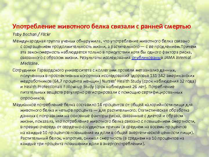 Употребление животного белка связали с ранней смертью Toby Bochan / Flickr Международная группа ученых