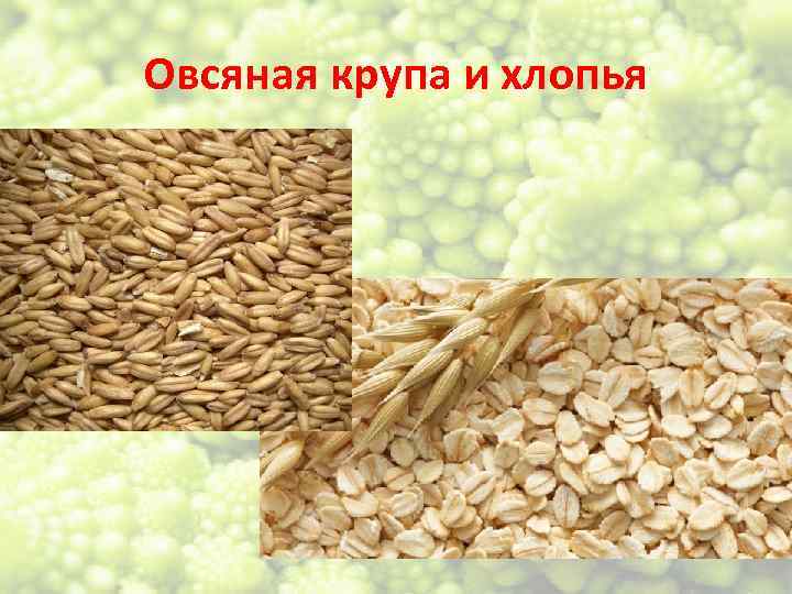 Овсяная крупа и хлопья 