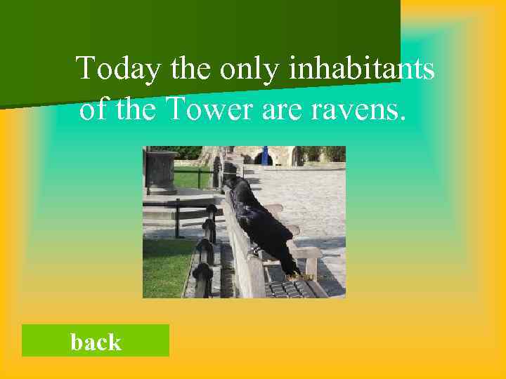 Today the only inhabitants of the Tower are ravens. back 