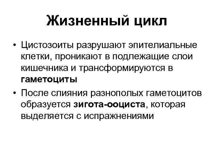 Жизненный цикл • Цистозоиты разрушают эпителиальные клетки, проникают в подлежащие слои кишечника и трансформируются