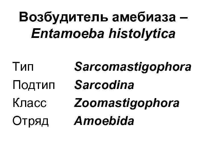 Возбудитель амебиаза – Entamoeba histolytica Тип Подтип Класс Отряд Sarcomastigophora Sarcodina Zoomastigophora Amoebida 