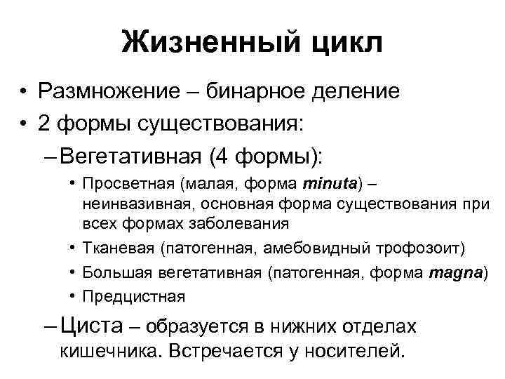 Жизненный цикл • Размножение – бинарное деление • 2 формы существования: – Вегетативная (4