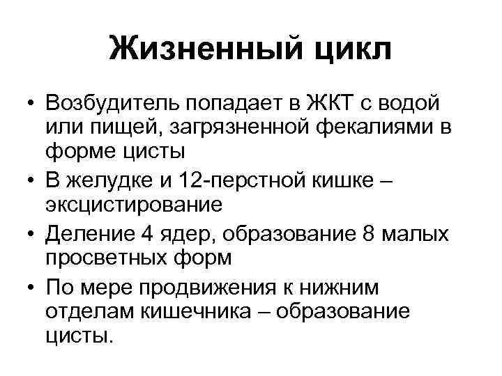 Жизненный цикл • Возбудитель попадает в ЖКТ с водой или пищей, загрязненной фекалиями в