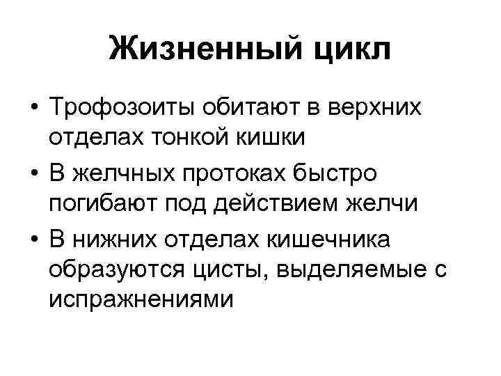 Жизненный цикл • Трофозоиты обитают в верхних отделах тонкой кишки • В желчных протоках