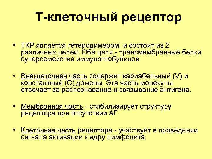 Т-клеточный рецептор • ТКР является гетеродимером, и состоит из 2 различных цепей. Обе цепи