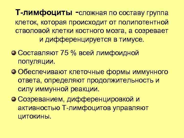 Т-лимфоциты -сложная по составу группа клеток, которая происходит от полипотентной стволовой клетки костного мозга,