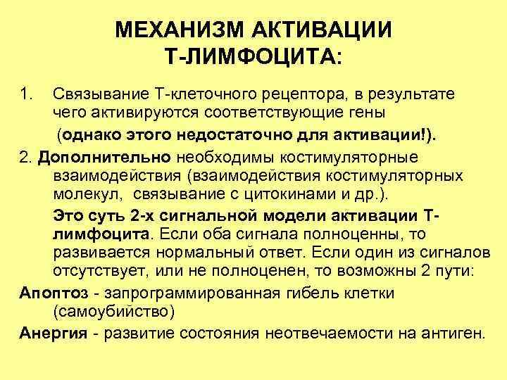 МЕХАНИЗМ АКТИВАЦИИ Т-ЛИМФОЦИТА: 1. Связывание Т-клеточного рецептора, в результате чего активируются соответствующие гены (однако