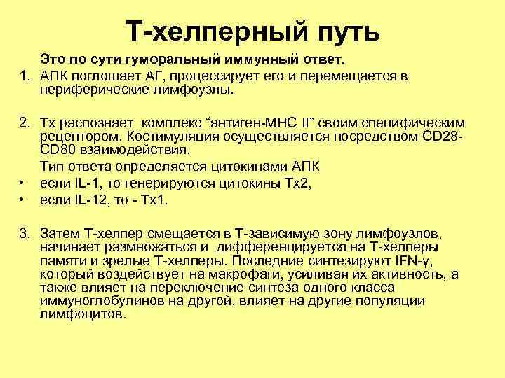 Т-хелперный путь Это по сути гуморальный иммунный ответ. 1. АПК поглощает АГ, процессирует его