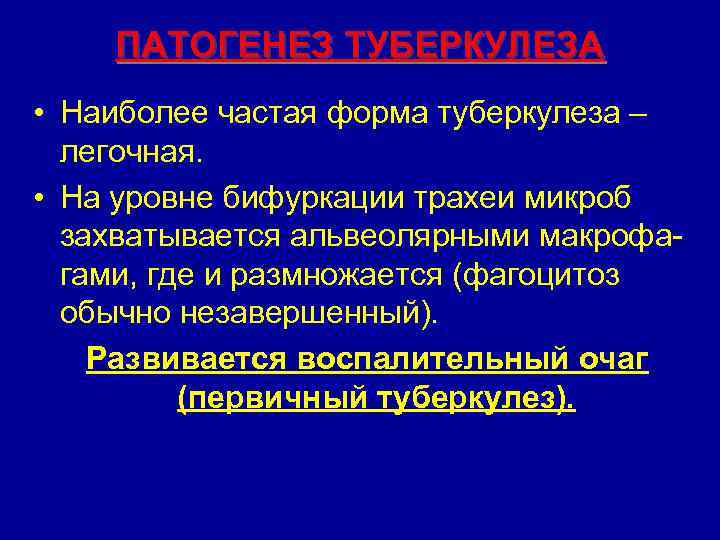 ПАТОГЕНЕЗ ТУБЕРКУЛЕЗА • Наиболее частая форма туберкулеза – легочная. • На уровне бифуркации трахеи